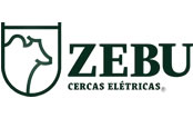 Zebu